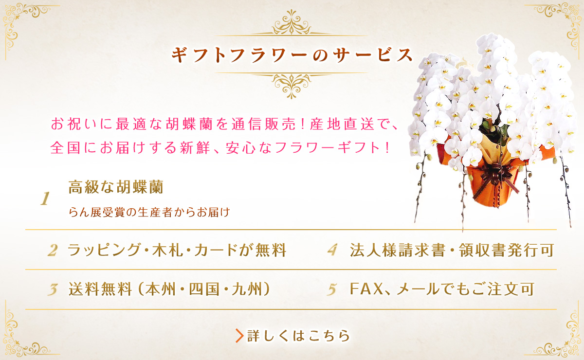 ギフトフラーのサービス　お祝いに最適な胡蝶蘭を通信販売！産地直送で、全国にお届けする新鮮、安心なフラワーギフト