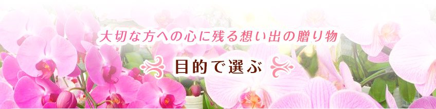 大切な方への贈り物に　用途で選ぶ