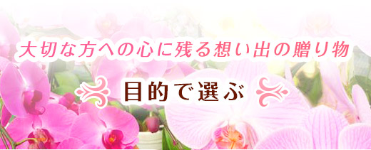 大切な方への贈り物に　用途で選ぶ