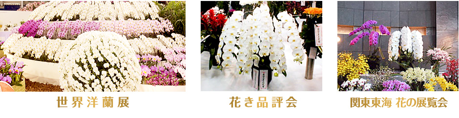 世界洋蘭展　花き品評会　関東東海 花の展覧会