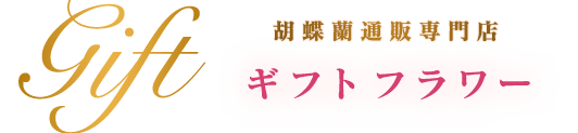 胡蝶蘭通販専門店「ギフトフラワー」 | (公式) 高品質・産地直送・法人対応/商品詳細ページ