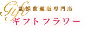 胡蝶蘭通販専門店「ギフトフラワー」 | (公式) 高品質・産地直送・法人対応/