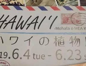 植物園のハワイアンイベント